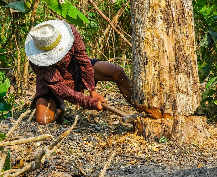 Dubious carbon offsetting claims 'ripe' for legal action