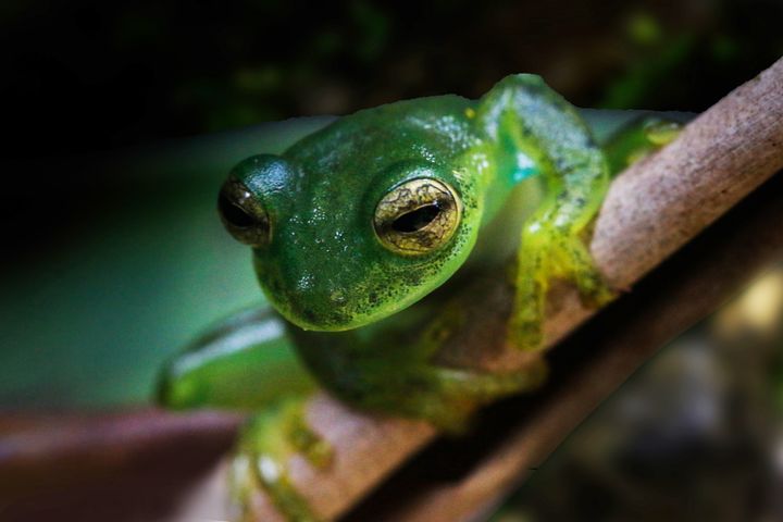 'A revolutionary time': How law and science are working together to secure the rights of nature